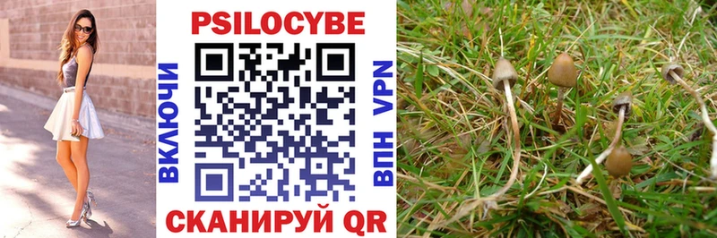 Галлюциногенные грибы Psilocybine cubensis  Буинск 